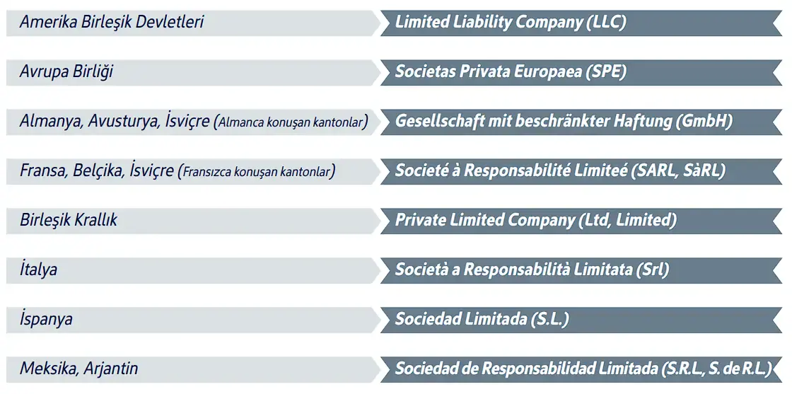 limited şirket isimleri